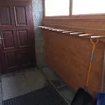 Dasa